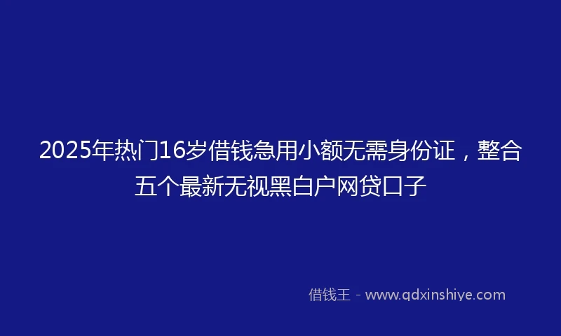 2025年热门16岁借钱急用小额无需身份证，整合五个最新无视黑白户网贷口子