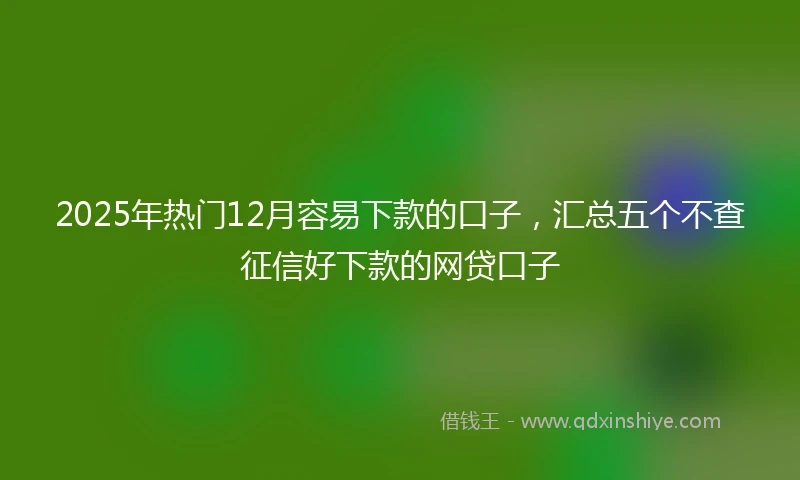 2025年热门12月容易下款的口子，汇总五个不查征信好下款的网贷口子