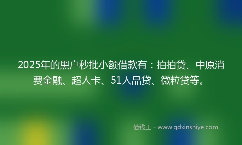 2025年的黑户秒批小额借款有：拍拍贷、中原消费金融、超人卡、51人品贷、微粒贷等。