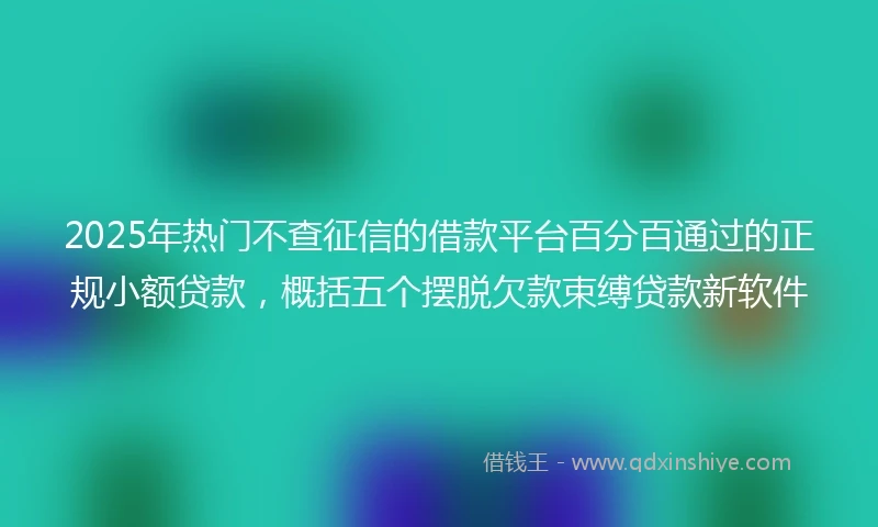 2025年热门不查征信的借款平台百分百通过的正规小额贷款，概括五个摆脱欠款束缚贷款新软件