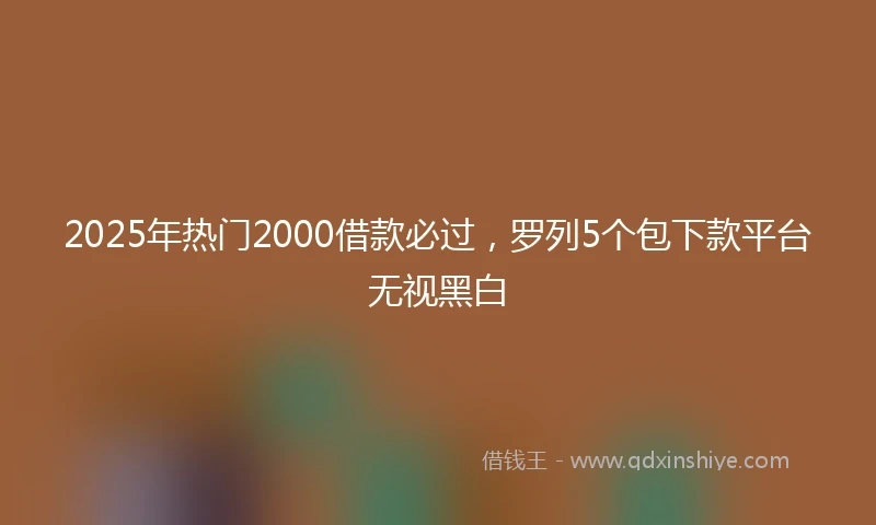 2025年热门2000借款必过，罗列5个包下款平台无视黑白