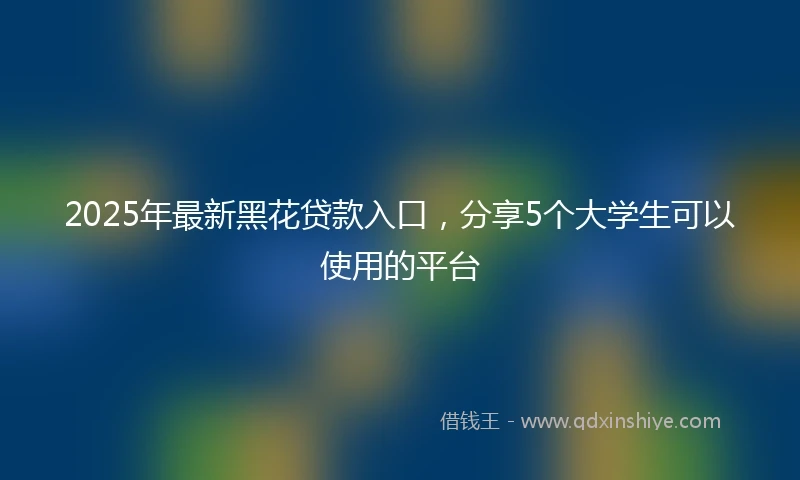 2025年最新黑花贷款入口，分享5个大学生可以使用的平台