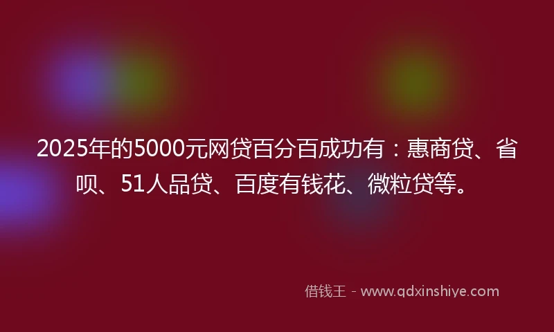 2025年的5000元网贷百分百成功有：惠商贷、省呗、51人品贷、百度有钱花、微粒贷等。