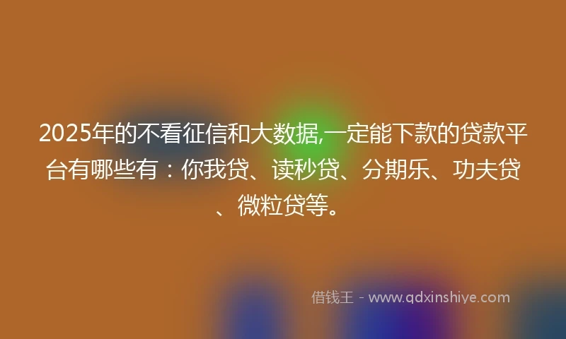 2025年的不看征信和大数据,一定能下款的贷款平台有哪些有:你我贷、读秒贷、分期乐、功夫贷、微粒贷等。