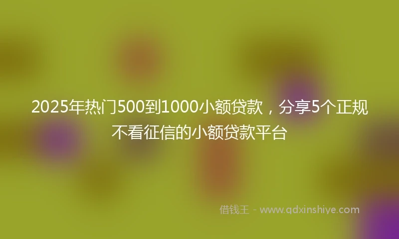 2025年热门500到1000小额贷款，分享5个正规不看征信的小额贷款平台