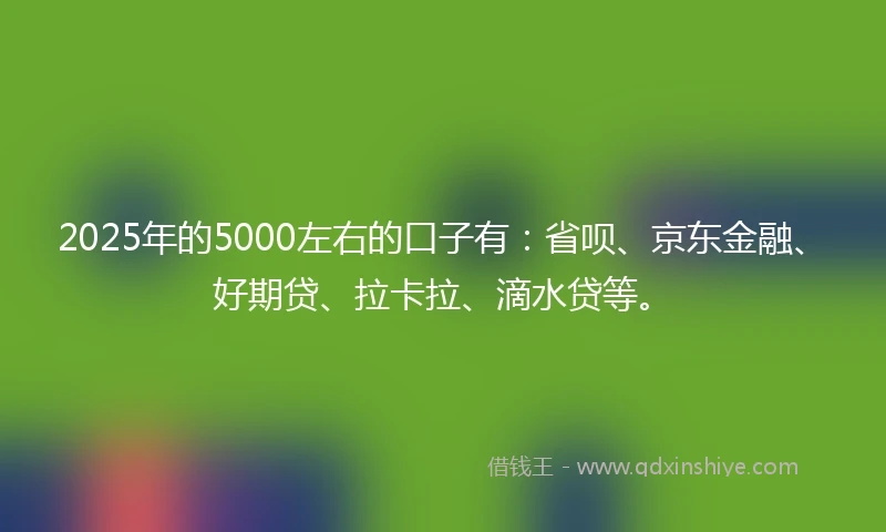 2025年的5000左右的口子有：省呗、京东金融、好期贷、拉卡拉、滴水贷等。