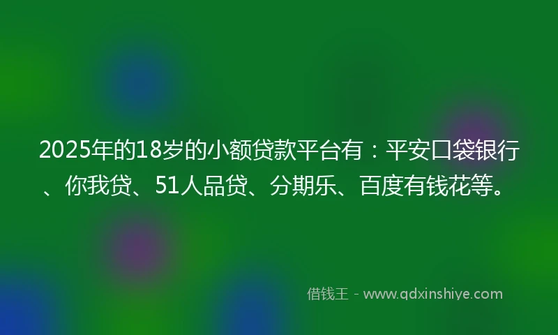 2025年的18岁的小额贷款平台有：平安口袋银行、你我贷、51人品贷、分期乐、百度有钱花等。