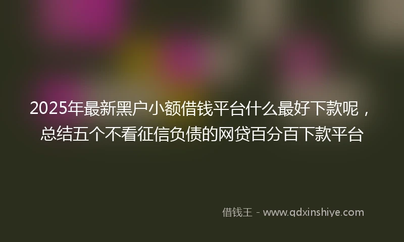 2025年最新黑户小额借钱平台什么最好下款呢，总结五个不看征信负债的网贷百分百下款平台