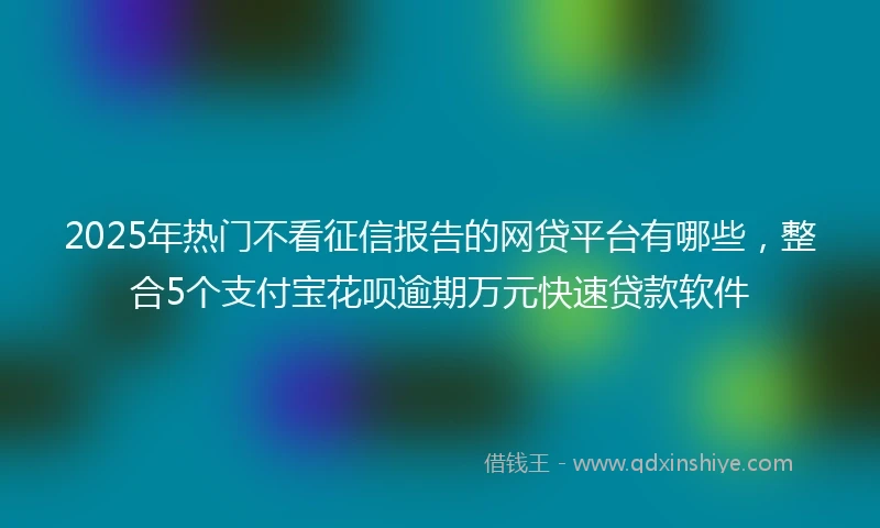 2025年热门不看征信报告的网贷平台有哪些，整合5个支付宝花呗逾期万元快速贷款软件
