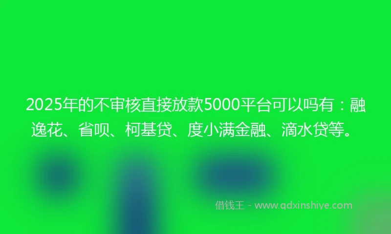 2025年的不审核直接放款5000平台可以吗有：融逸花、省呗、柯基贷、度小满金融、滴水贷等。