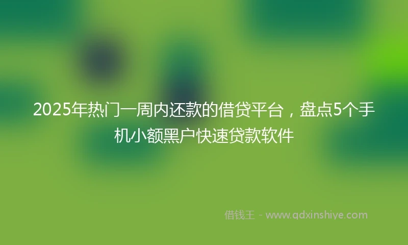 2025年热门一周内还款的借贷平台，盘点5个手机小额黑户快速贷款软件