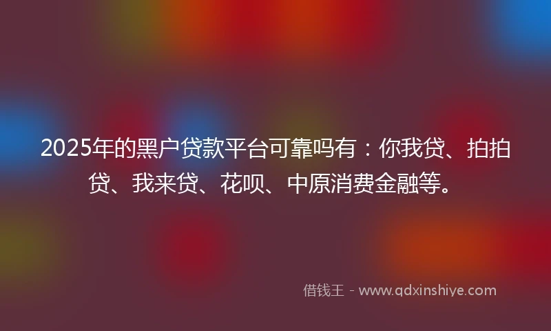 2025年的黑户贷款平台可靠吗有:你我贷、拍拍贷、我来贷、花呗、中原消费金融等。