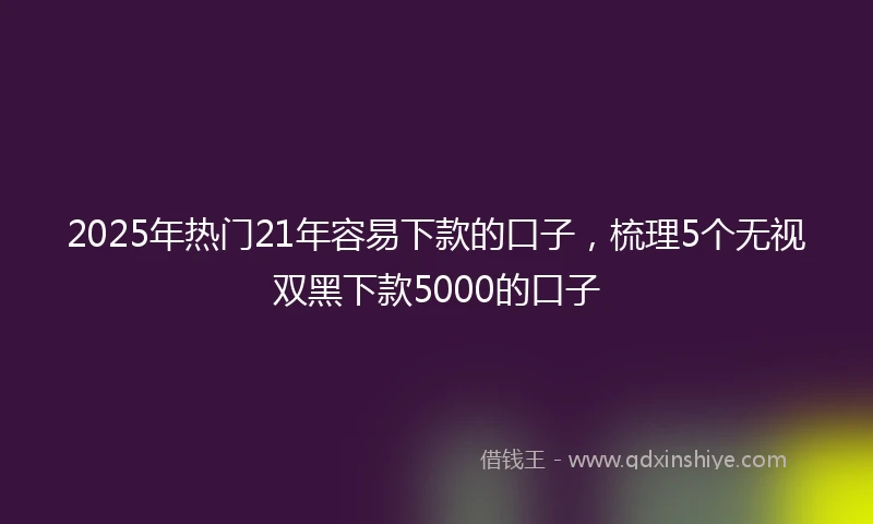 2025年热门21年容易下款的口子，梳理5个无视双黑下款5000的口子