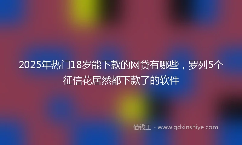 2025年热门18岁能下款的网贷有哪些，罗列5个征信花居然都下款了的软件