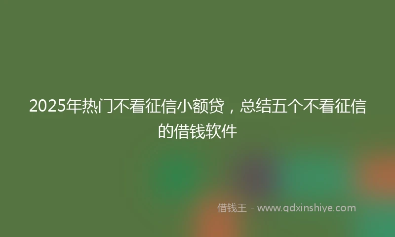 2025年热门不看征信小额贷，总结五个不看征信的借钱软件