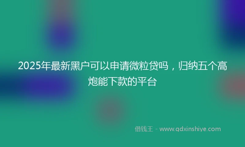 2025年最新黑户可以申请微粒贷吗，归纳五个高炮能下款的平台