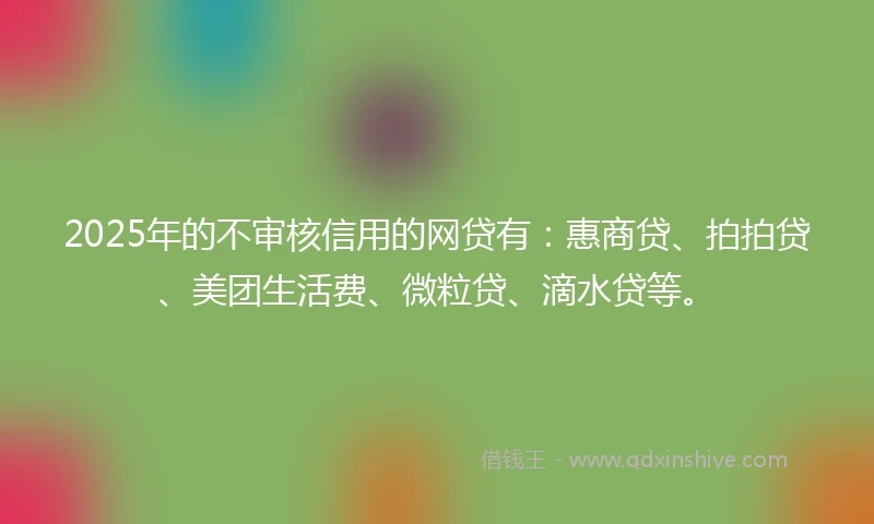 2025年的不审核信用的网贷有：惠商贷、拍拍贷、美团生活费、微粒贷、滴水贷等。