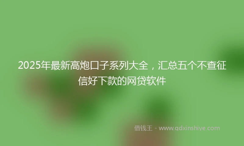 2025年最新高炮口子系列大全，汇总五个不查征信好下款的网贷软件