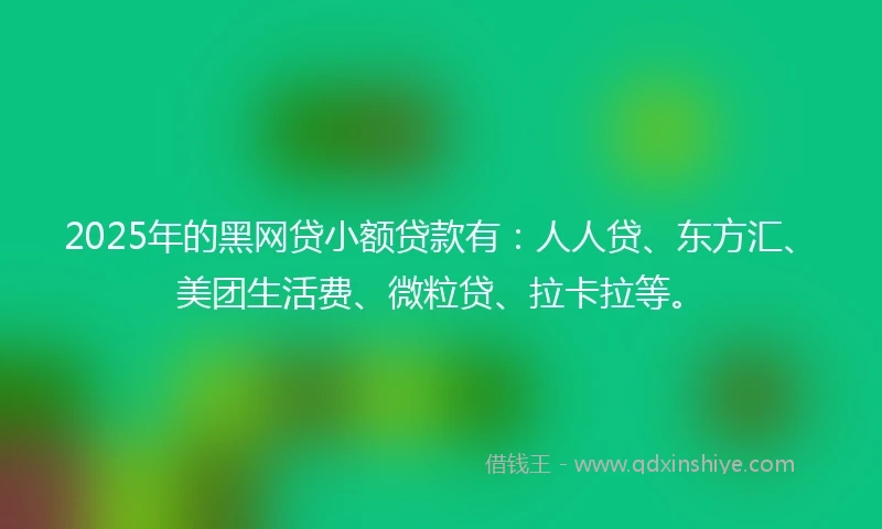 2025年的黑网贷小额贷款有：人人贷、东方汇、美团生活费、微粒贷、拉卡拉等。