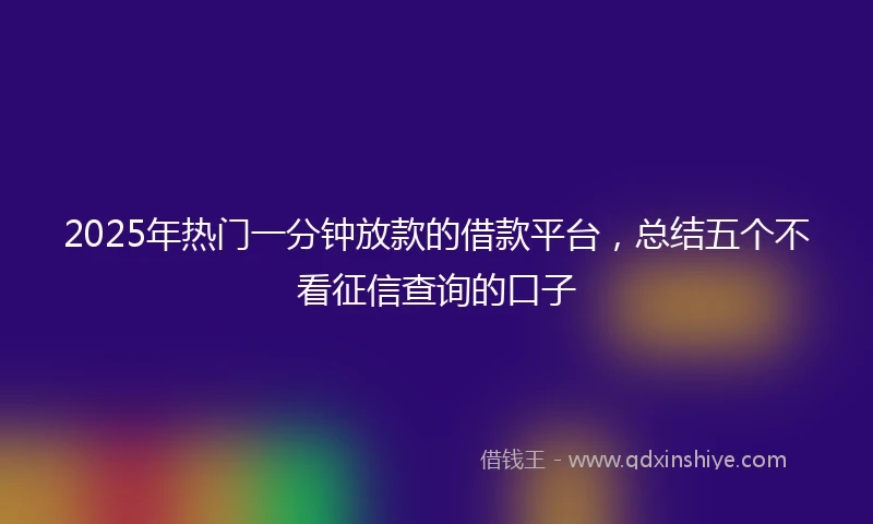 2025年热门一分钟放款的借款平台，总结五个不看征信查询的口子