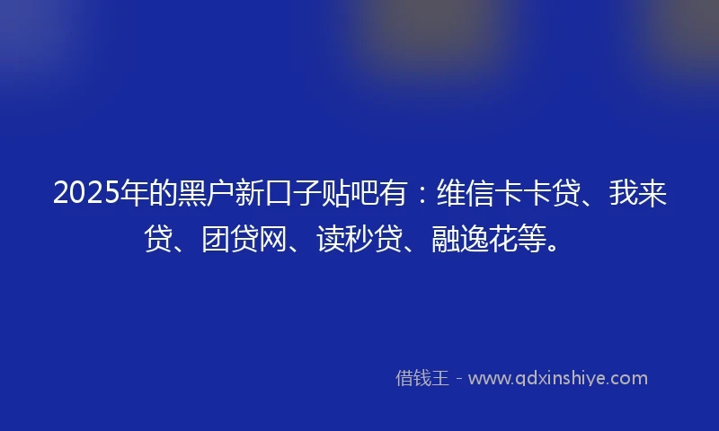 2025年的黑户新口子贴吧有：维信卡卡贷、我来贷、团贷网、读秒贷、融逸花等。