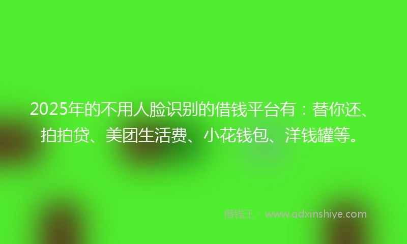 2025年的不用人脸识别的借钱平台有：替你还、拍拍贷、美团生活费、小花钱包、洋钱罐等。