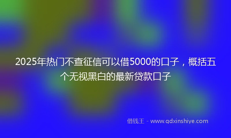 2025年热门不查征信可以借5000的口子，概括五个无视黑白的最新贷款口子