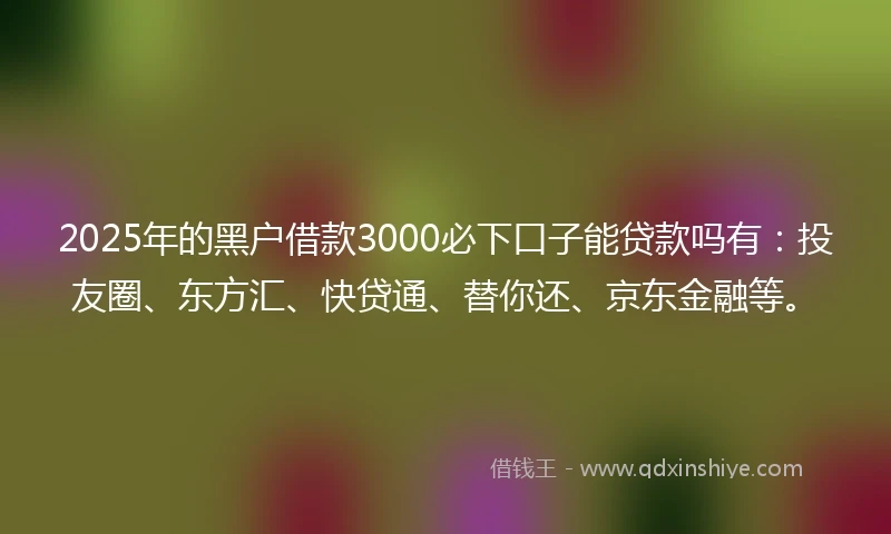 2025年的黑户借款3000必下口子能贷款吗有：投友圈、东方汇、快贷通、替你还、京东金融等。