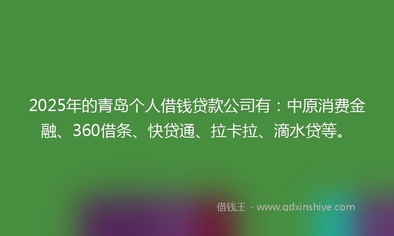 2025年的青岛个人借钱贷款公司有：中原消费金融、360借条、快贷通、拉卡拉、滴水贷等。