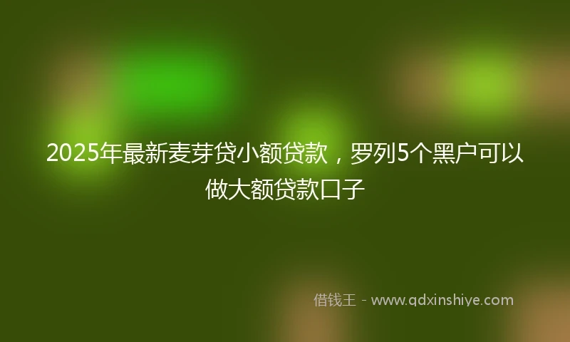 2025年最新麦芽贷小额贷款，罗列5个黑户可以做大额贷款口子