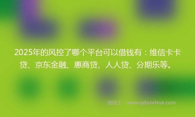 2025年的风控了哪个平台可以借钱有：维信卡卡贷、京东金融、惠商贷、人人贷、分期乐等。