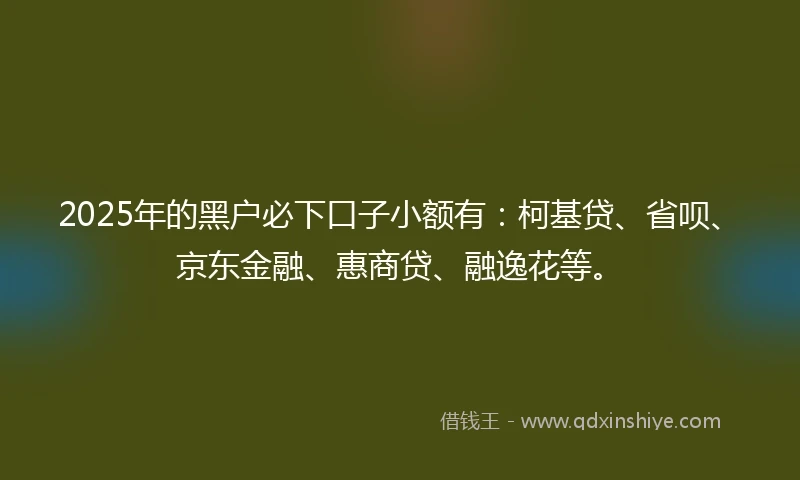 2025年的黑户必下口子小额有：柯基贷、省呗、京东金融、惠商贷、融逸花等。