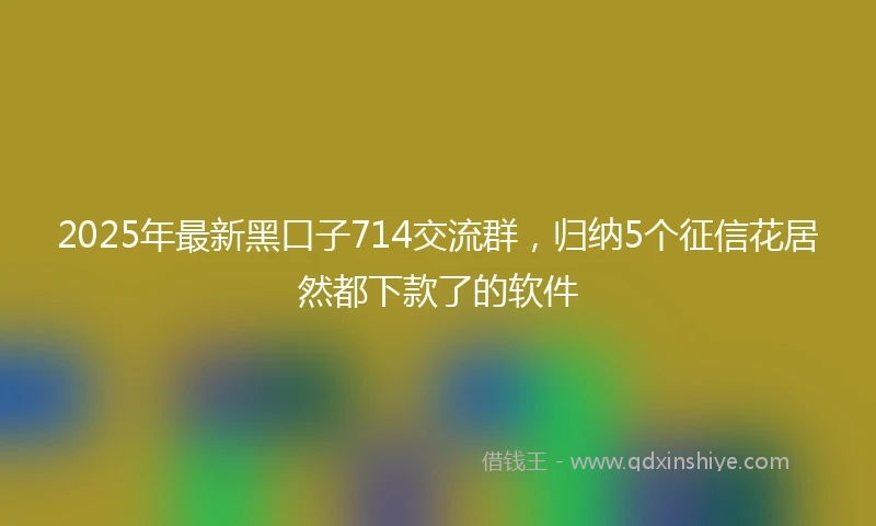 2025年最新黑口子714交流群，归纳5个征信花居然都下款了的软件