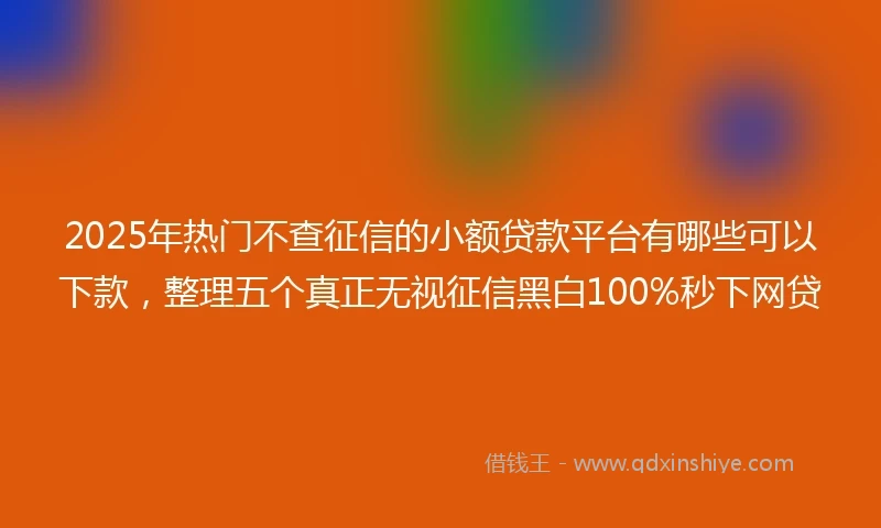 2025年热门不查征信的小额贷款平台有哪些可以下款，整理五个真正无视征信黑白100%秒下网贷