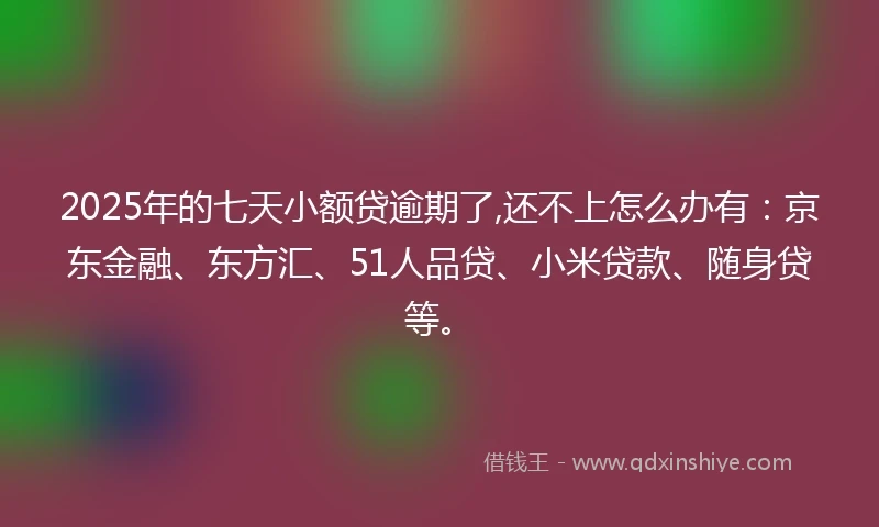 2025年的七天小额贷逾期了,还不上怎么办有:京东金融、东方汇、51人品贷、小米贷款、随身贷等。