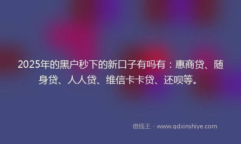 2025年的黑户秒下的新口子有吗有：惠商贷、随身贷、人人贷、维信卡卡贷、还呗等。
