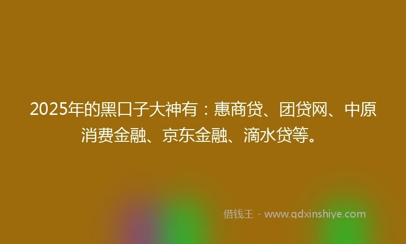 2025年的黑口子大神有：惠商贷、团贷网、中原消费金融、京东金融、滴水贷等。