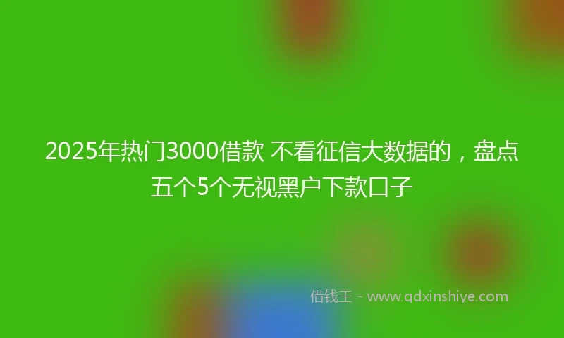2025年热门3000借款 不看征信大数据的,盘点五个5个无视黑户下款口子