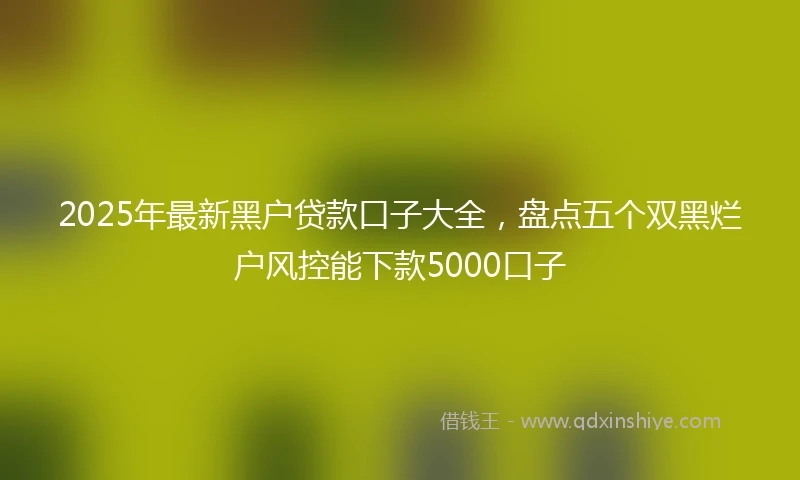 2025年最新黑户贷款口子大全，盘点五个双黑烂户风控能下款5000口子