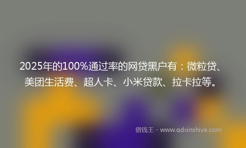 2025年的100%通过率的网贷黑户有：微粒贷、美团生活费、超人卡、小米贷款、拉卡拉等。