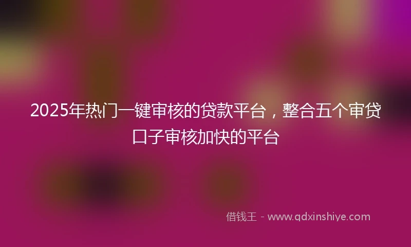2025年热门一键审核的贷款平台,整合五个审贷口子审核加快的平台