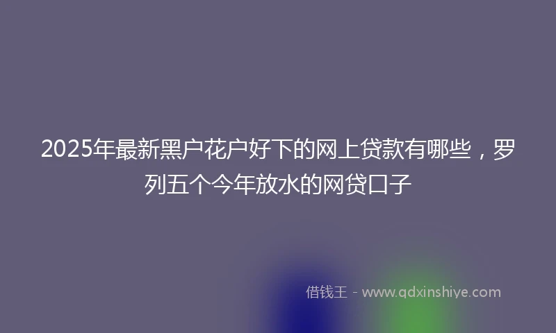 2025年最新黑户花户好下的网上贷款有哪些，罗列五个今年放水的网贷口子