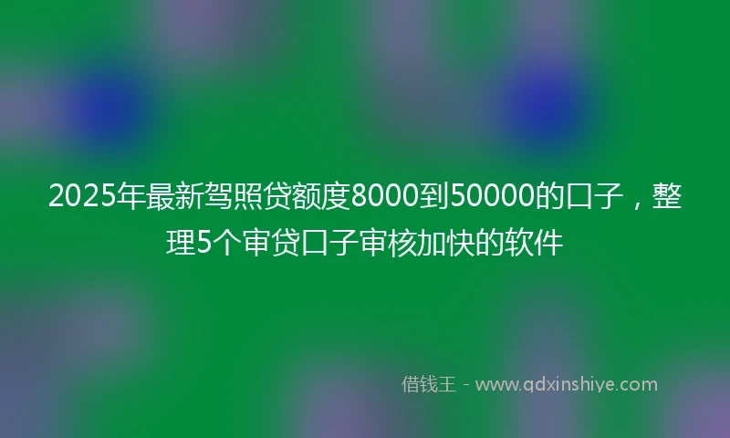 2025年最新驾照贷额度8000到50000的口子，整理5个审贷口子审核加快的软件