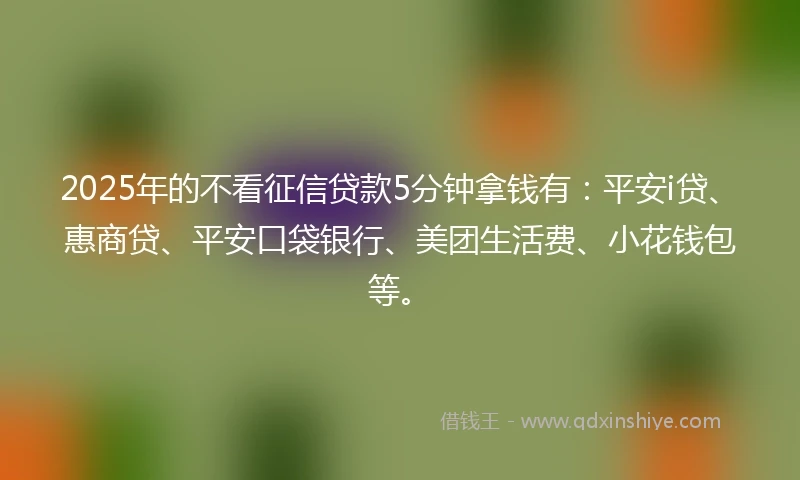 2025年的不看征信贷款5分钟拿钱有:平安i贷、惠商贷、平安口袋银行、美团生活费、小花钱包等。