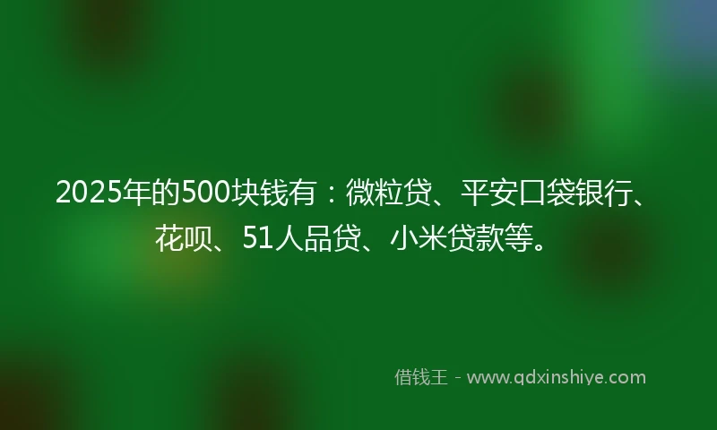 2025年的500块钱有：微粒贷、平安口袋银行、花呗、51人品贷、小米贷款等。