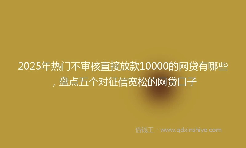 2025年热门不审核直接放款10000的网贷有哪些,盘点五个对征信宽松的网贷口子