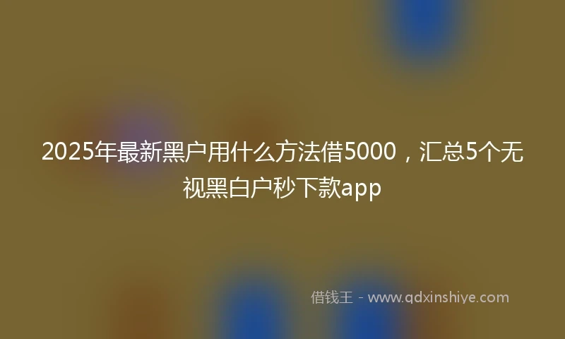 2025年最新黑户用什么方法借5000，汇总5个无视黑白户秒下款app