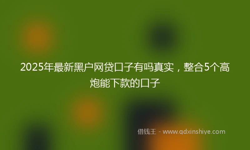 2025年最新黑户网贷口子有吗真实，整合5个高炮能下款的口子