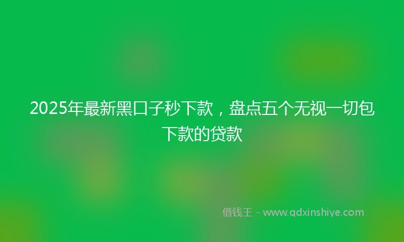 2025年最新黑口子秒下款，盘点五个无视一切包下款的贷款