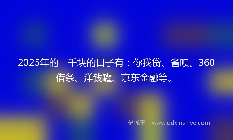 2025年的一千块的口子有：你我贷、省呗、360借条、洋钱罐、京东金融等。